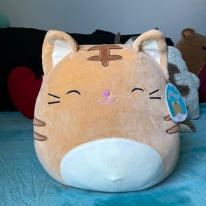 Nathan 12in Squishmallow